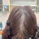최지원헤어 | 파주미용실 정말 머리 잘해주는 곳 최지원헤어