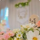 본페뜨 파티하우스 일산점 | 본페뜨 파티하우스 일산 돌잔치 내돈내산 비교 계약 후기
