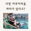 사천수산동물병원 | 경남 사천 아쿠아리움, 아라마루 30개월 아이랑 가고 싶은 이유 (+하마 &amp; 맛집 코스)