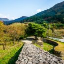 곡성-238 이미지