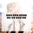 탑티어치과기공소 | 잇몸이 시큰해서 결국 치과행이 되어버린 썰