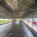 상룡농장 이미지