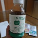 정화양발 이미지