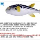 장인복국 네이버블로그