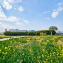 십리대밭교 화장실 이미지