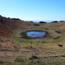 제주도 푸른밤 이미지