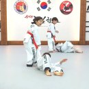 합기도 호신술 이미지