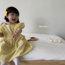 벌룬플라워 이미지