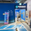 또치 | 내돈내산 인천프리다이빙 또치다이브 체험 강습 후기 서울스킨스쿠버 추천