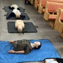 [기본응급처치] 심폐소생술 | 철원 군부대 응급처치 심폐소생술 강의후기 행안부 보건안전교육강사