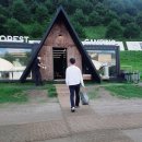 대관령마켓 | 휘닉스 파크 평창 포레스트 캠핑 바베큐 아베토 와인 마켓 힐링 후기