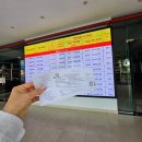 베트남퀴논거리 | 베트남 다낭 한달살기 21일차 꾸이년2박3일 여행🇻🇳