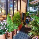 더카페886