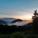 여명농장 이미지