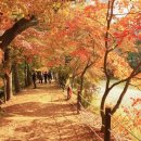 개방