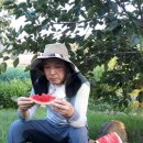 곽*기 이미지