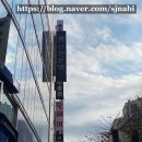 수내역미용실 디엘헤어에서 만난 서하케어리스트