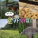 동화1길-1 | 경북 청도 로카커피 동화 속 한 장면 같은 숲속카페 화덕베이글 전문점
