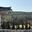 스테이 선광 이미지