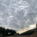 (주)서윤푸드안성H클럽하우스(골프존카운티) | [라운딩 후기] 큐로cc, 골프존카운티 안성H 후기/겨울라운딩룩