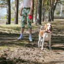 대학애견용품 이미지