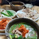 고기밥