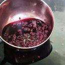 대영원영농조합법인 이미지