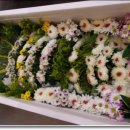 오산한국병원 이미지