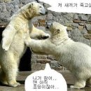 냠냠 Daum카페