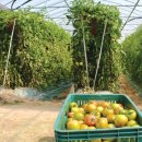 윤택농장 이미지