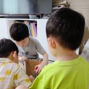 놀라운형제들 | 미니카세트 토이앤토이 가성비 최고 4세 7세 삼형제 대만족 후기