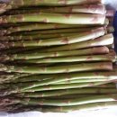 은이농장 이미지