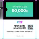 (주)투어네트코리아 이미지