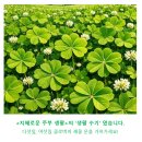 을지한의원 | [비만클리닉 상담 후기] 여자는 평생 다이어트해야 된다고요? (지방 흡입 수술 고민)