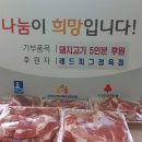 레드피그 이미지