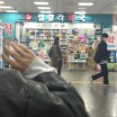 랄랄라약국 이미지