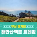 스카이워크 공중화장실 이미지