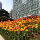 참새의정원 이미지