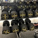 두잇피트니스(율곡점) 이미지