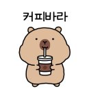 라테라스 코브 스위트 이미지