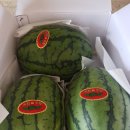 외사촌경로당 이미지