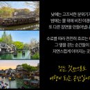 필참투어 | [✈️상해 여행] 우전 수향마을 일일 버스투어 내돈내산 후기 (+ 여권 필참)