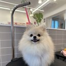 티몬이네 목욕탕 이미지