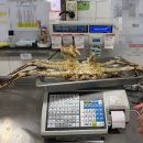 홈 할인마트 앞 | 킹크랩 50% 할인 실화? 롯데마트 포장 후기