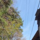 주산제 | 백두대간 종주 1회차 (통안재에서 노치샘까지)