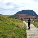 육남매식당 이미지