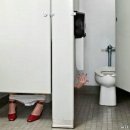 오늘의 강아지 이미지