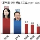 ＜대구시장 여야 후보 지지도＞ 이미지