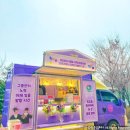 보라고등학교 이미지