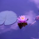 반올림 작업장 이미지